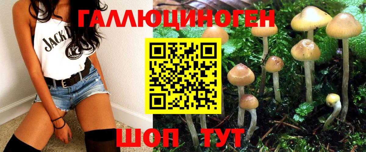 Озёрск  Галлюциногенные грибы Psilocybine cubensis  Вход с VPN  Псилоцибиновые грибы MAGIC MUSHROOMS 